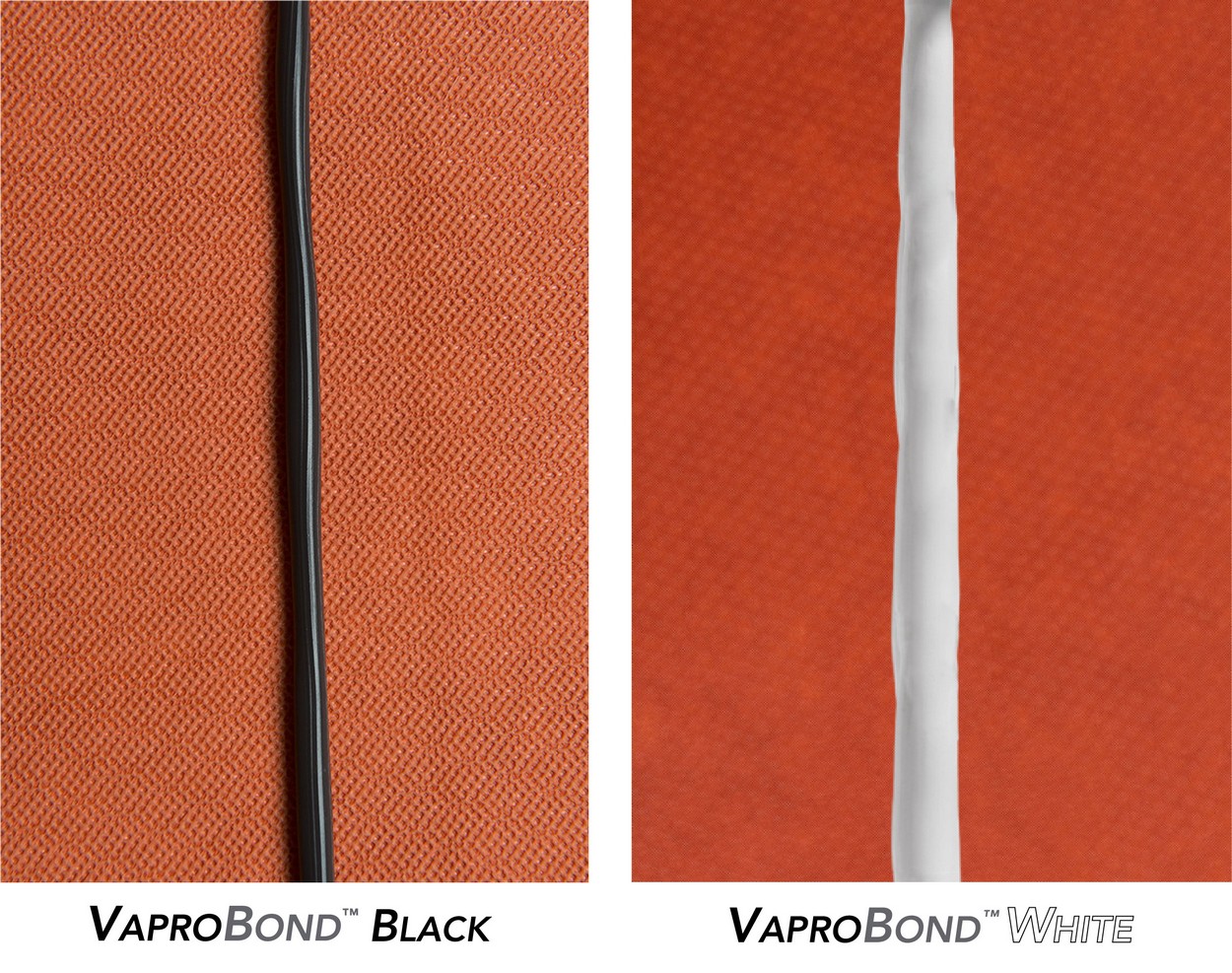 hagen 160813 0111 editweb2